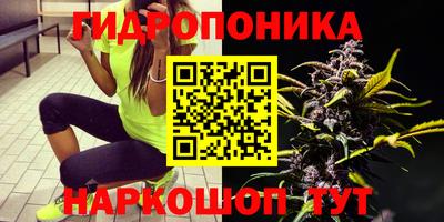 jwh Краснознаменск