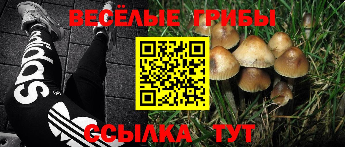 Псилоцибиновые грибы MAGIC MUSHROOMS Ярцево