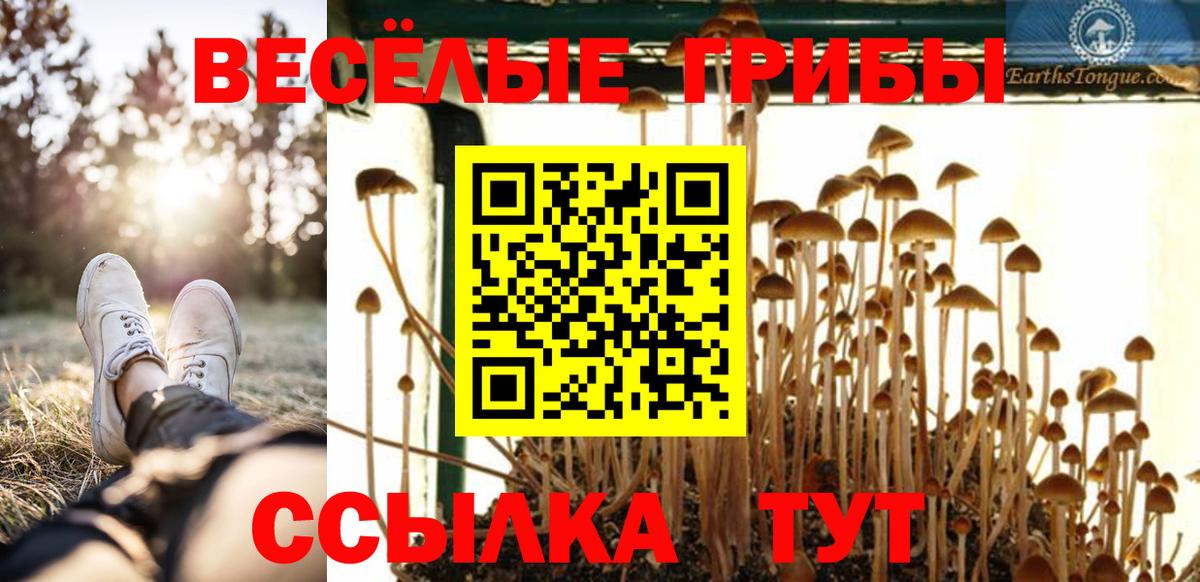 Ярцево  Галлюциногенные грибы MAGIC MUSHROOMS  Вход с VPN 